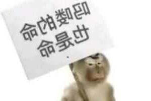 命 意思